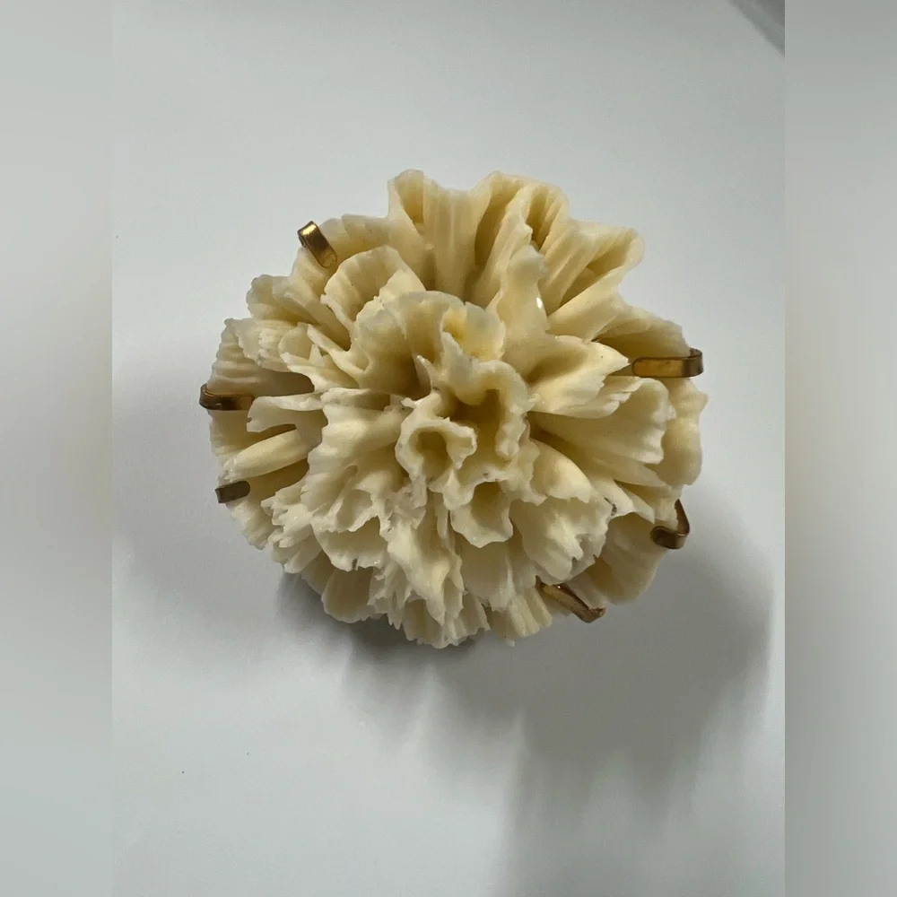 Zara resin ring